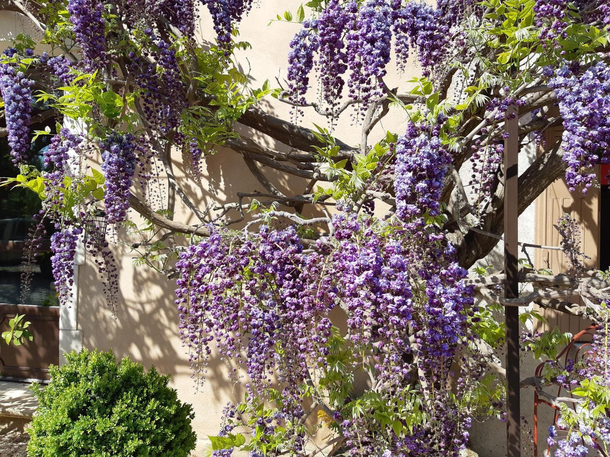 Cherche Midi Holiday home Noves